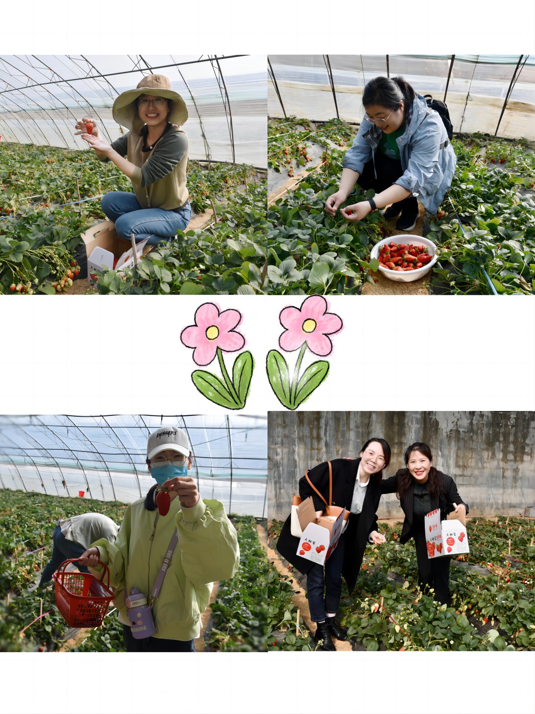 摘草莓(1).jpg